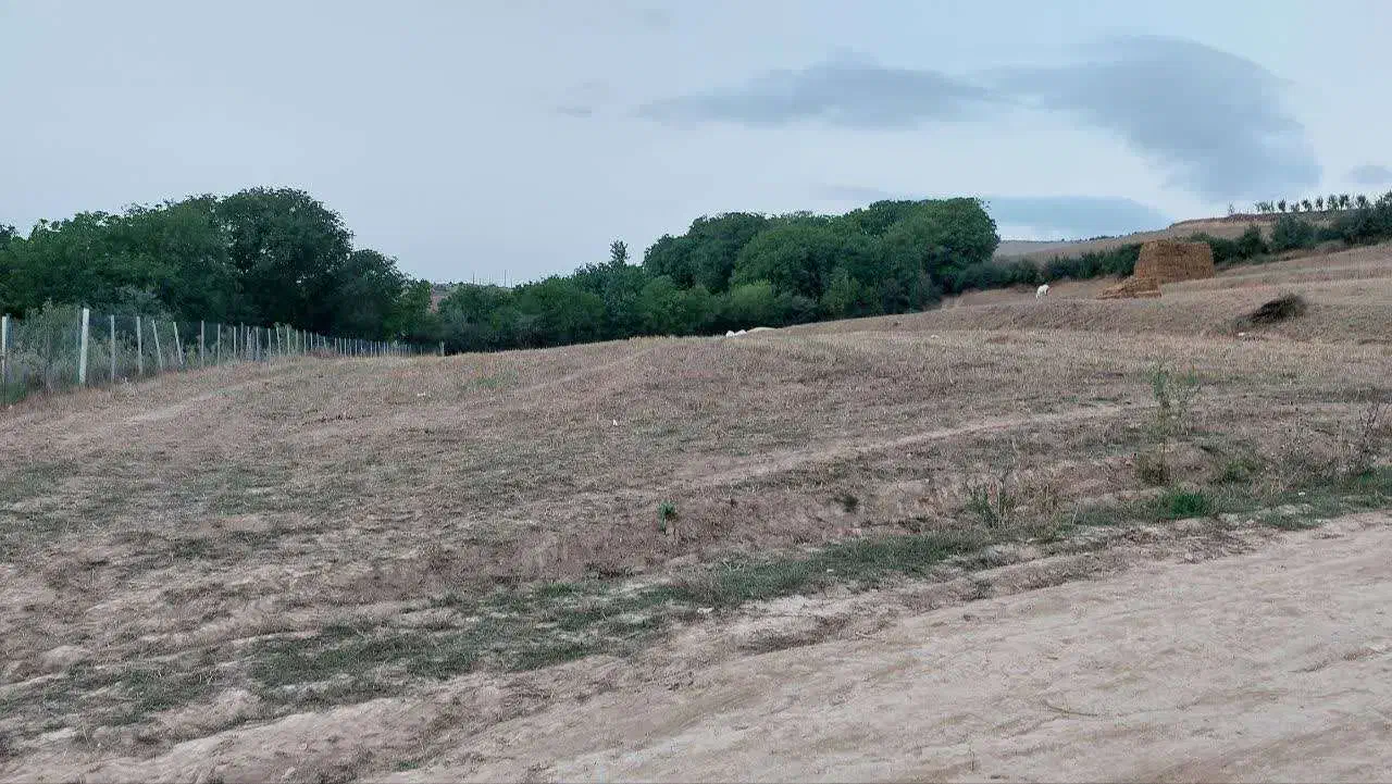 فروش زمین ۳۵۰ متری قلعه قافه بالا|فروش زمین و ملک کلنگی|مینودشت, |دیوار