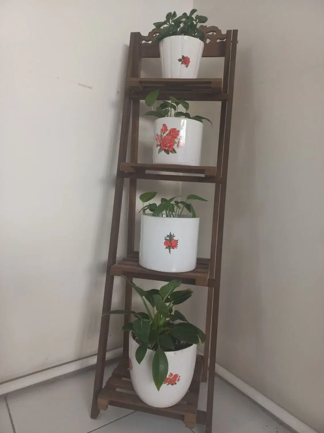 چهارعددگل وگلدون طبیعی بااستند|گل و گیاه طبیعی|تهران, خلیج فارس|دیوار