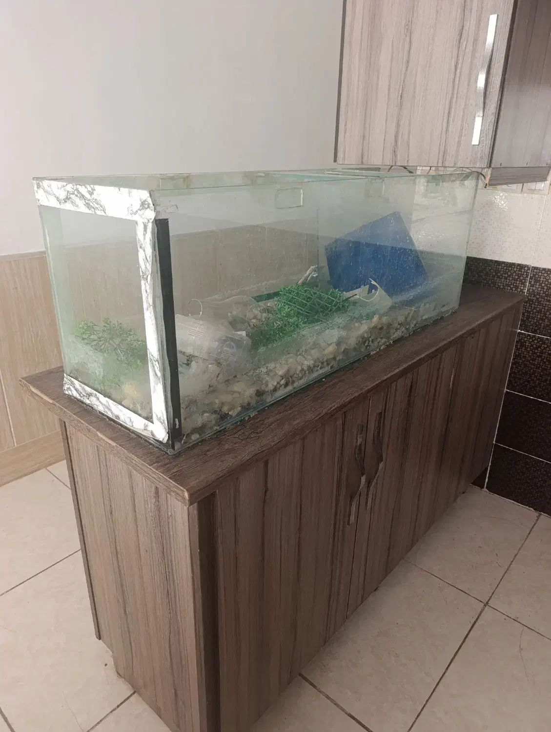 اکواریوم|ماهی|کاشان, فاز ۲ ناجی آباد|دیوار