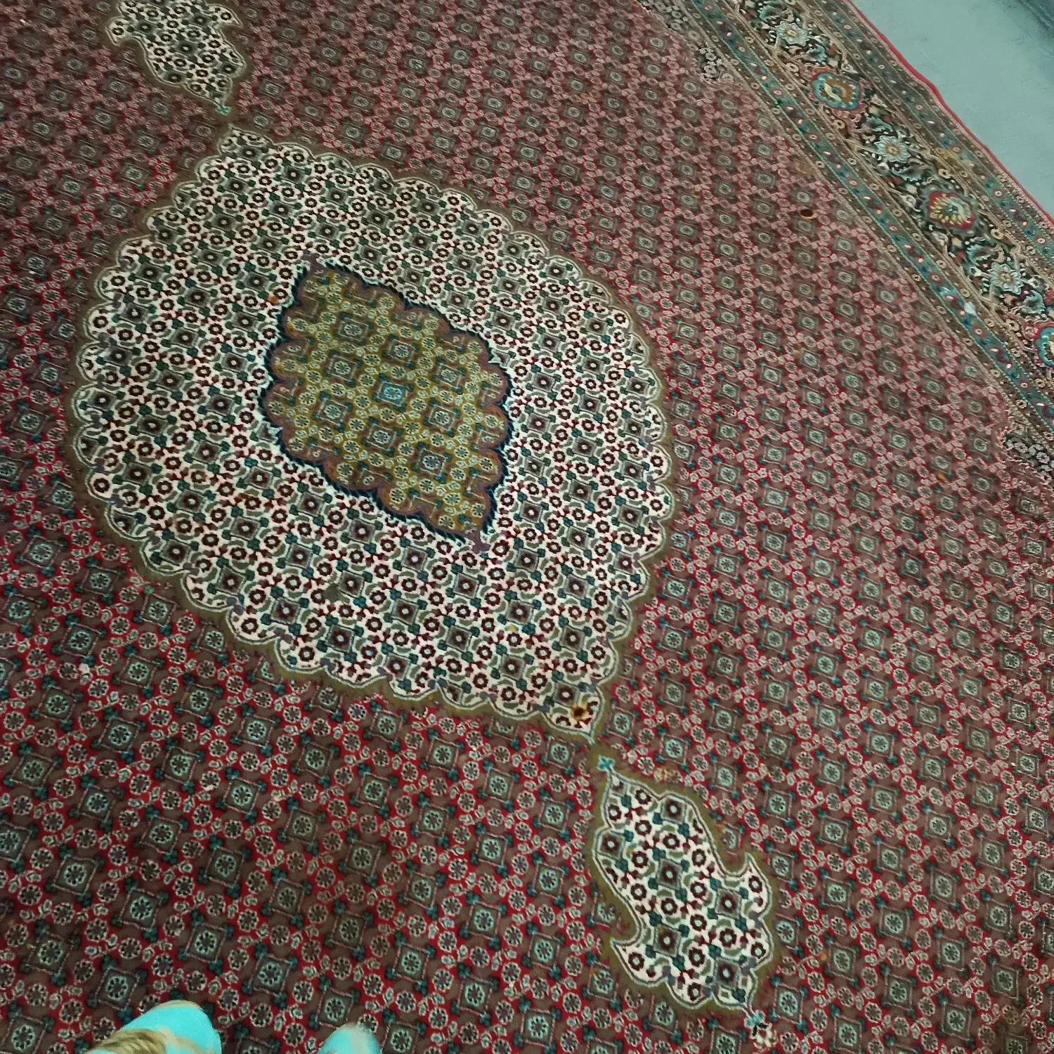 سوسنگرد|فرش|سوسنگرد, |دیوار