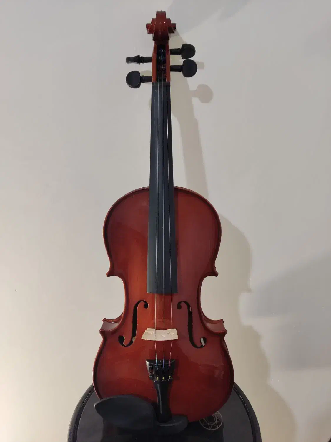 ویولن 4/4|ویولن|رشت, پستک|دیوار