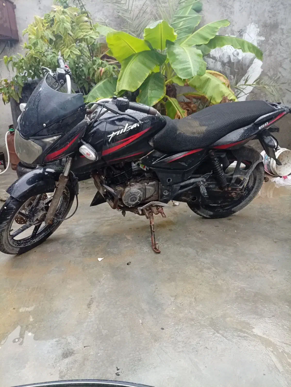 150باجاج خصبی|موتورسیکلت|قشم, |دیوار