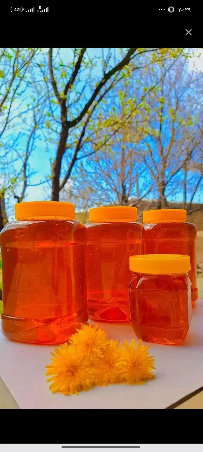 عسل طبیعی کوهستان مرغوبترین عسل|خوردنی و آشامیدنی|ماهنشان, |دیوار