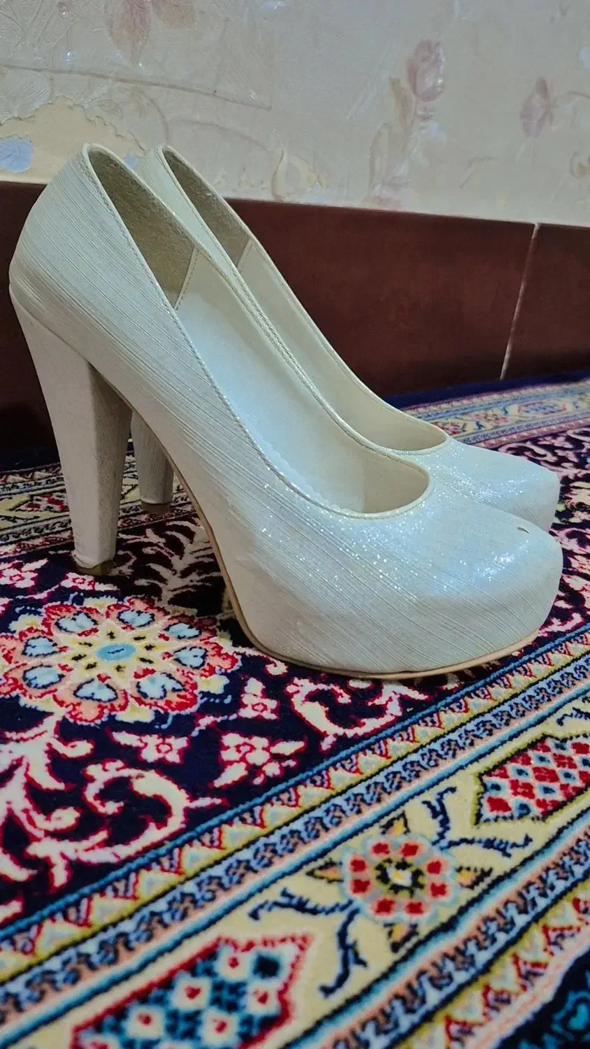 کفش مجلسی|کیف، کفش، کمربند|بیجار, |دیوار