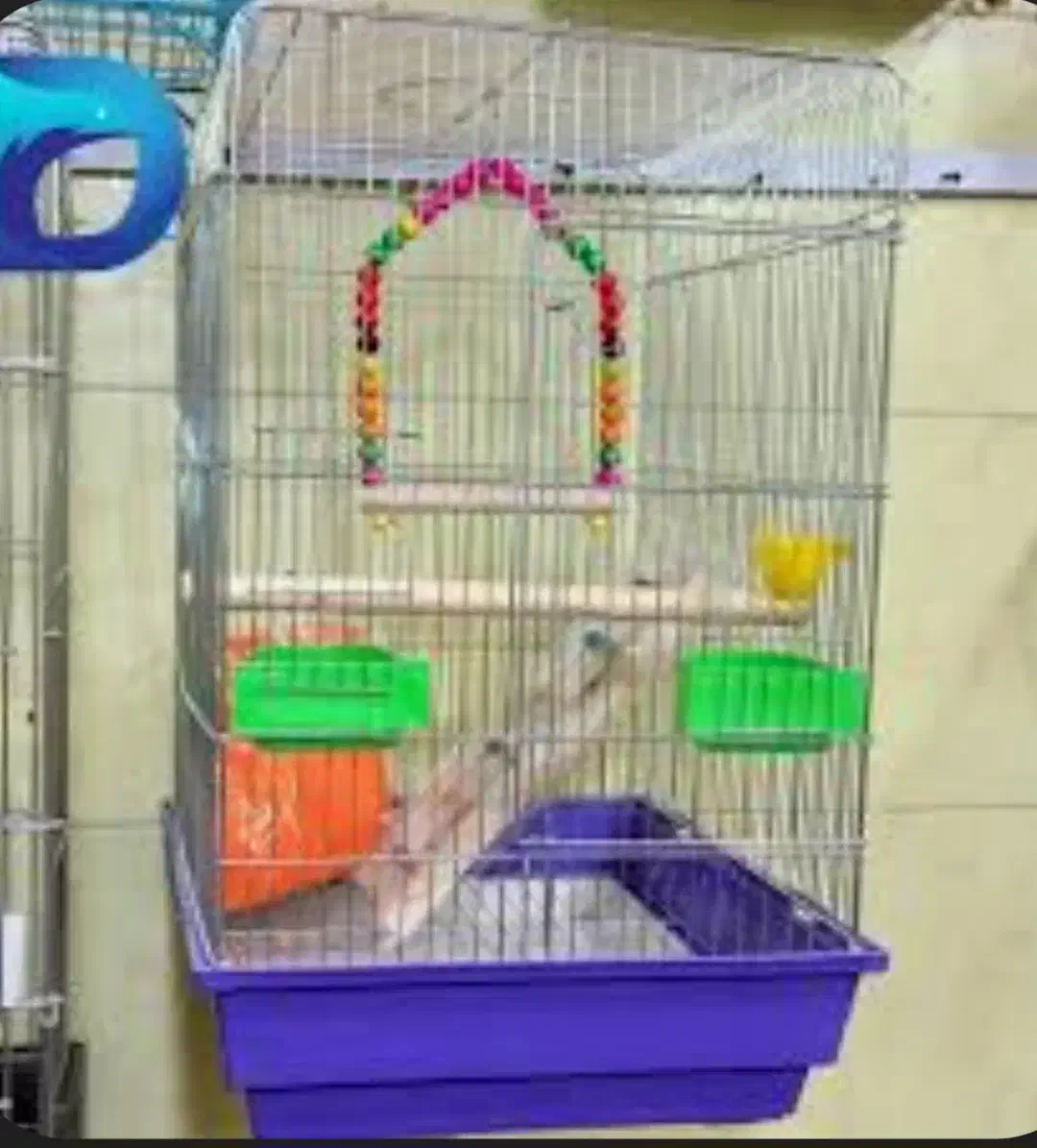 قفس رنگی بزرگ|لوازم جانبی حیوانات|ایلام, |دیوار