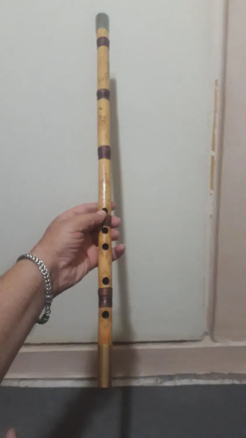 فروش نی هفت بند|سازهای سنتی|تهران, آرژانتین|دیوار