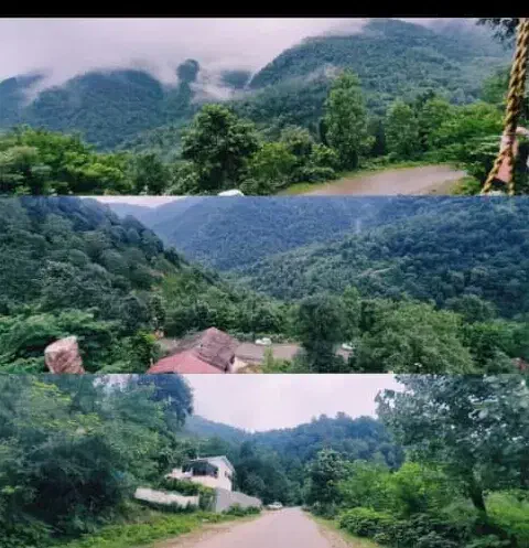 ویلای جنگلی ،شفت سیاهمزگی|اجارهٔ کوتاهمدت ویلا و باغ|رشت, ساغری سازان|دیوار