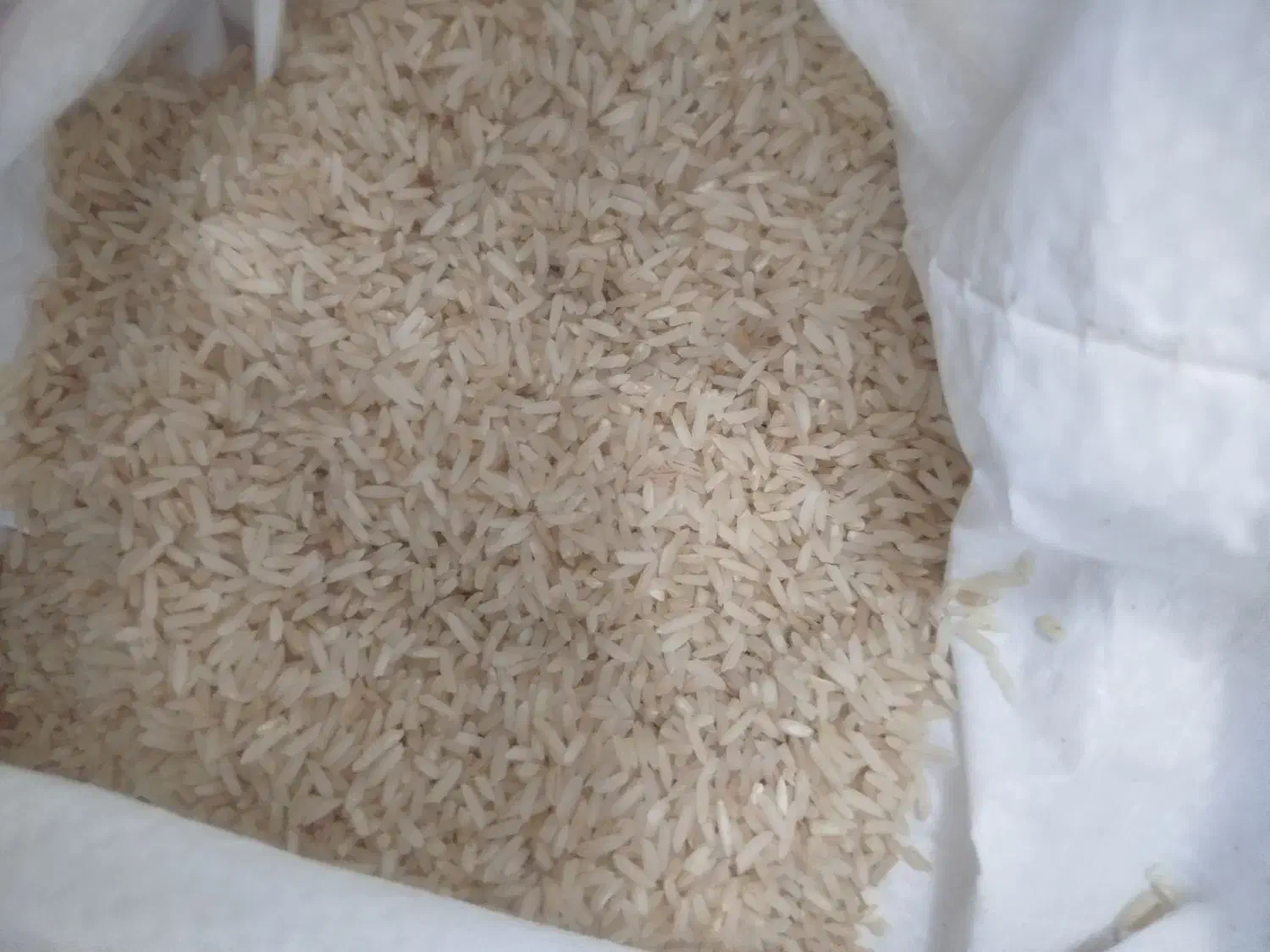 برنج اعلا کلات نادر|خوردنی و آشامیدنی|مشهد, سپاد|دیوار