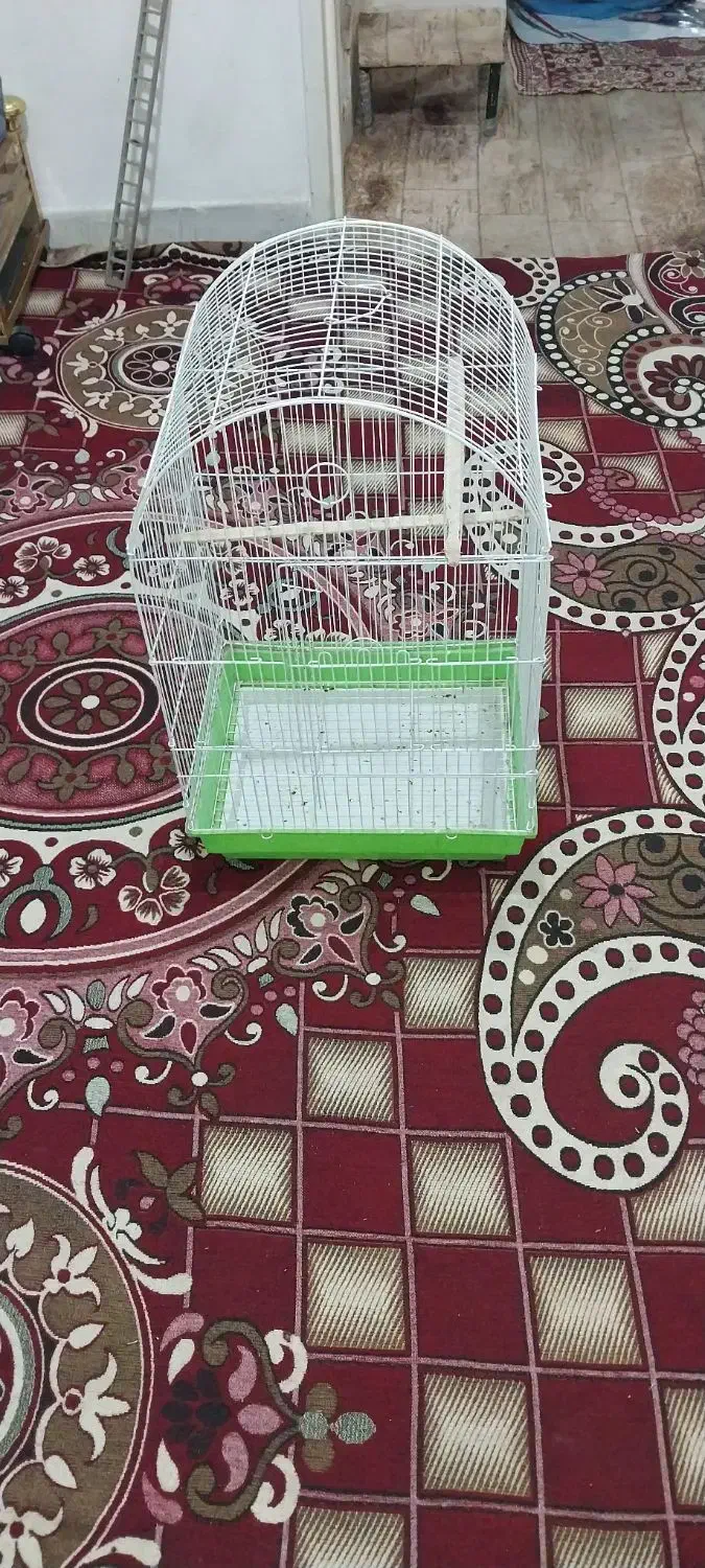 قفس|لوازم جانبی حیوانات|اهواز, کوی صادقیه|دیوار
