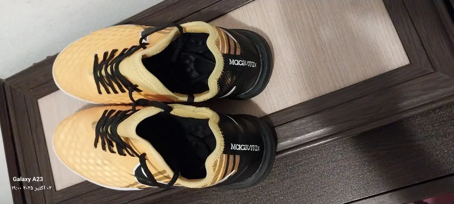 کفش ورزشی سالنی سایز ۴۱|تجهیزات ورزشی|رشت, رودباری|دیوار