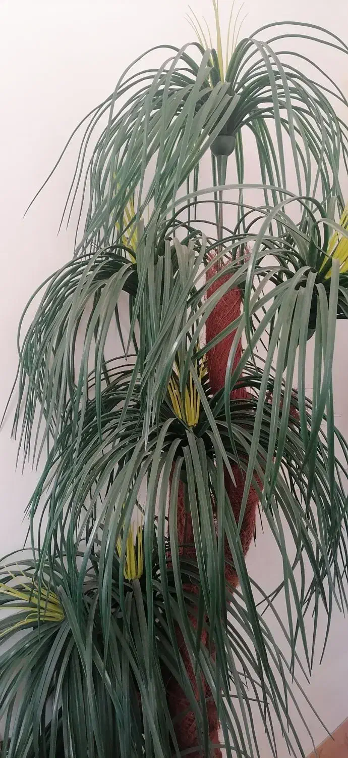 نخل مصنوعی|گل مصنوعی|صدرا-فارس, فاز ۲|دیوار