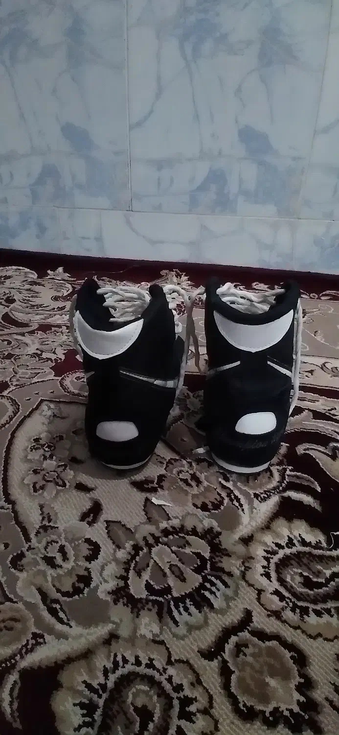 کفش بوکس|کیف، کفش، کمربند|باخزر, |دیوار