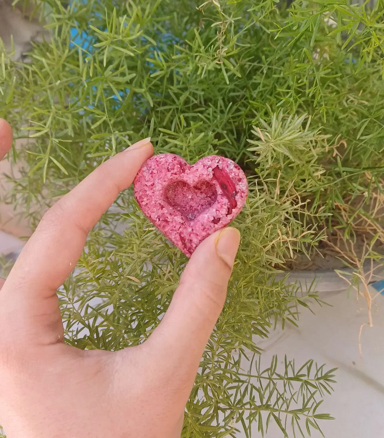 نبات گیاهی|خوردنی و آشامیدنی|اصفهان, عسگریه|دیوار