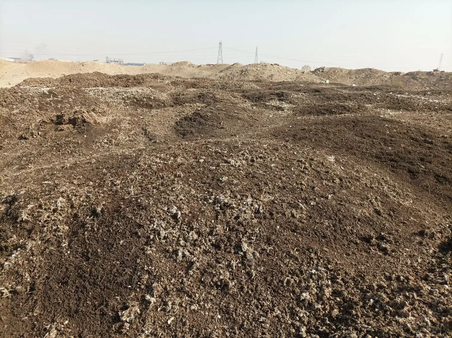 کود مرغی خالص|خدمات باغبانی و درختکاری|رفسنجان, |دیوار