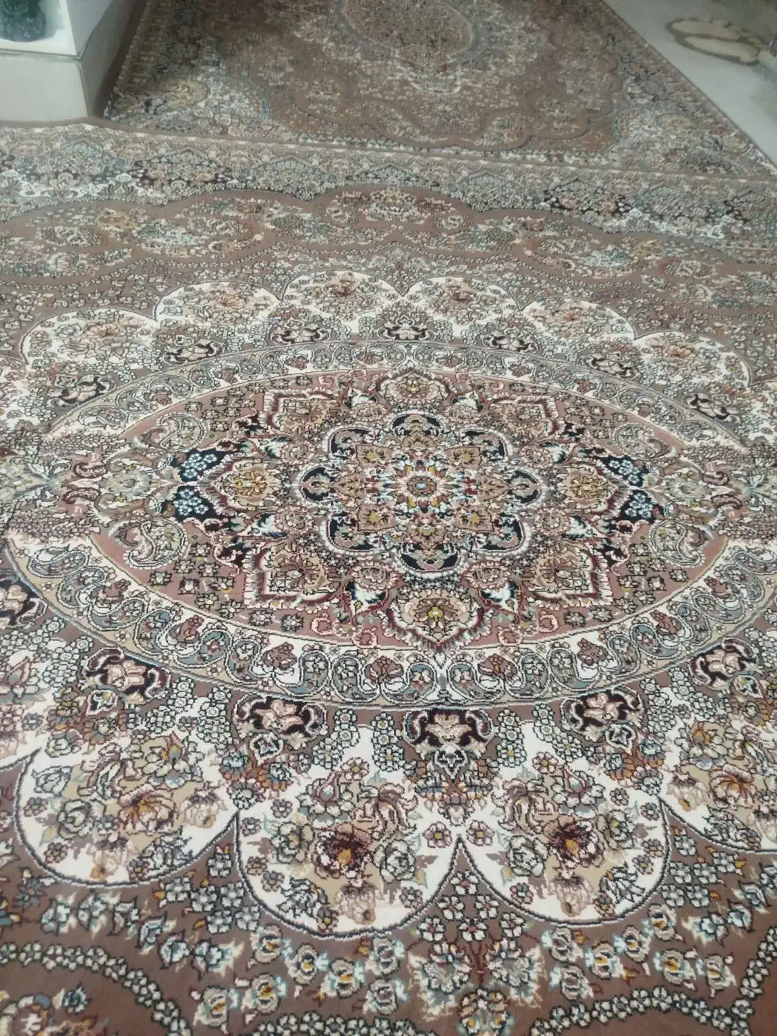 فرش|فرش|جلین, |دیوار