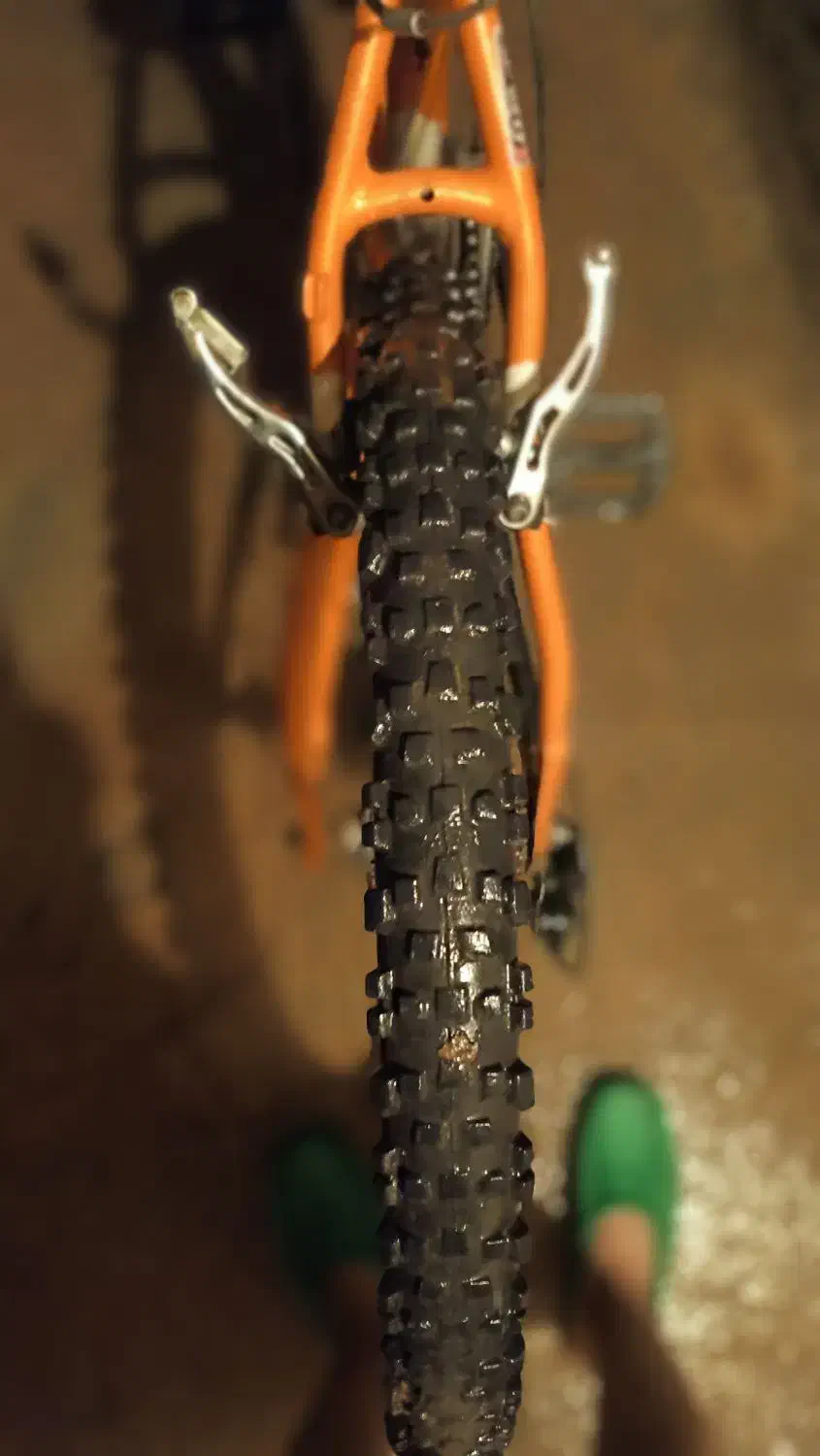 دوچرخه|دوچرخه، اسکیت، اسکوتر|موچش, |دیوار