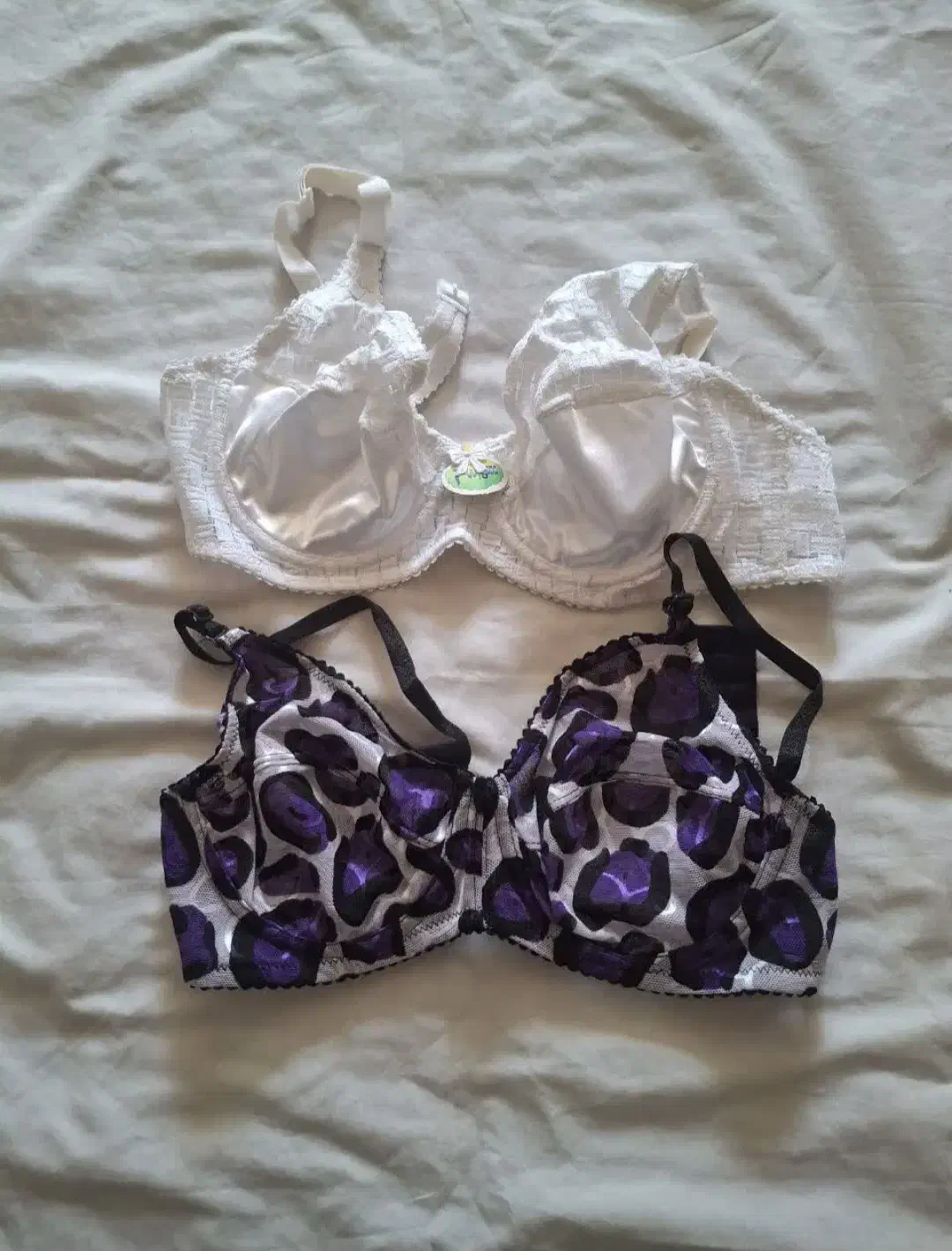 سوتین فانتزی فنردار|لباس|همدان, |دیوار