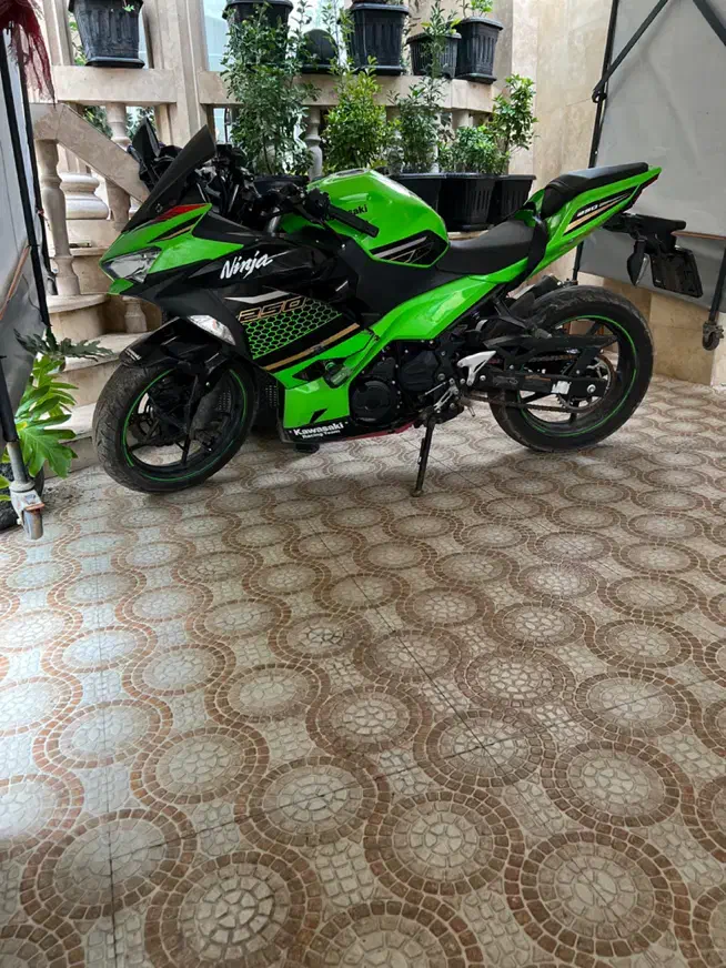 نینجا ۲۵۰ دو سیلندر در حد صفر|موتورسیکلت|رشت, پاستوریزه|دیوار