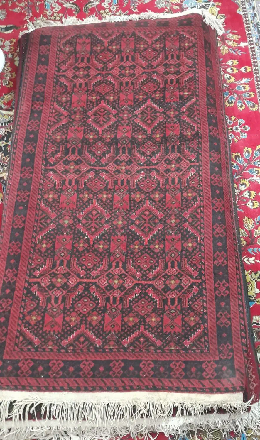 قالیچه بلوچی|فرش|مشهد, دانشجو|دیوار