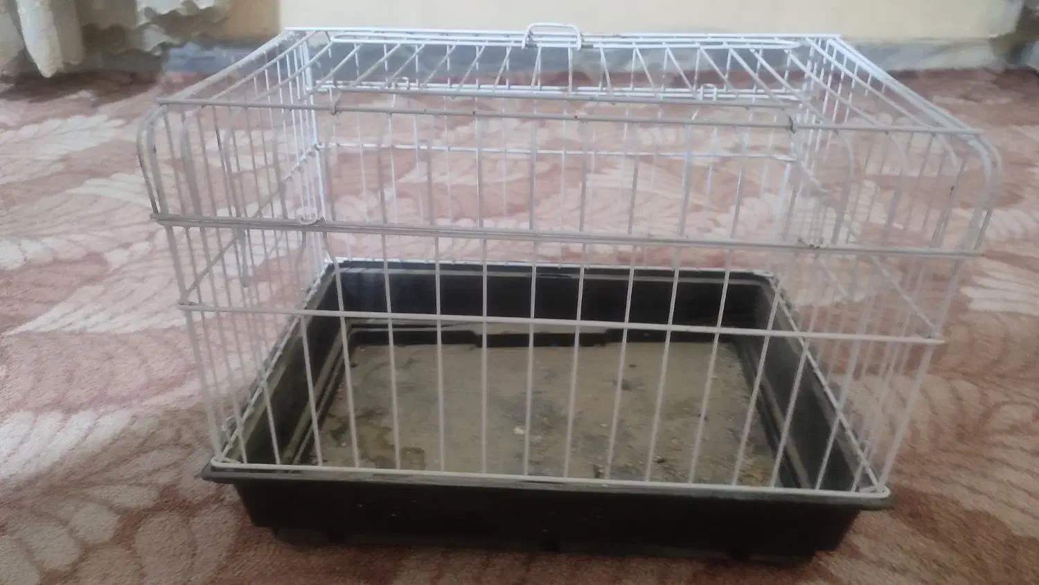 قفس|لوازم جانبی حیوانات|برازجان, |دیوار