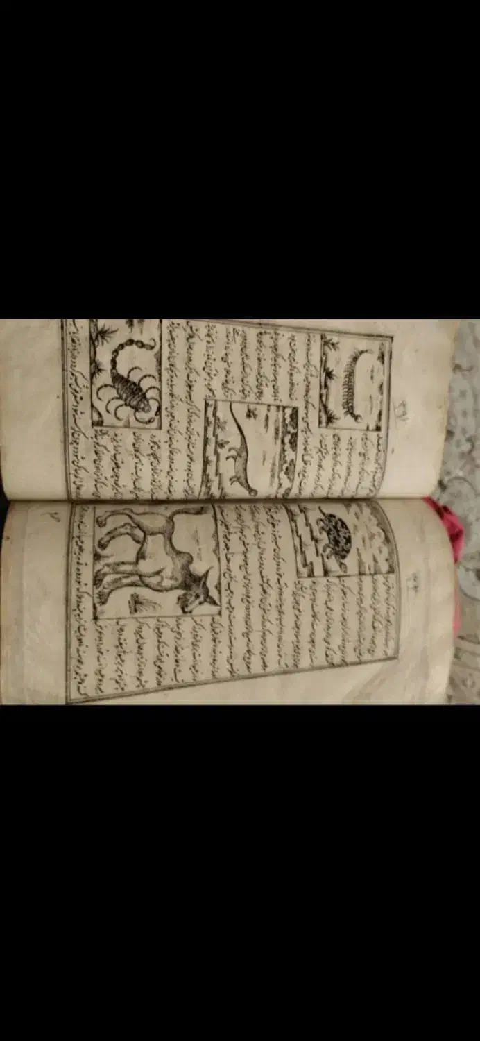 کتاب دعا و دعا|کتاب و مجله مذهبی|نقده, |دیوار