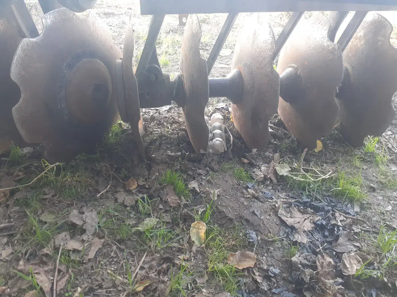 دیکس باغی ۲۰پر جفت بلبرینگ مقدسی|ماشینآلات صنعتی|فاضل آباد, |دیوار