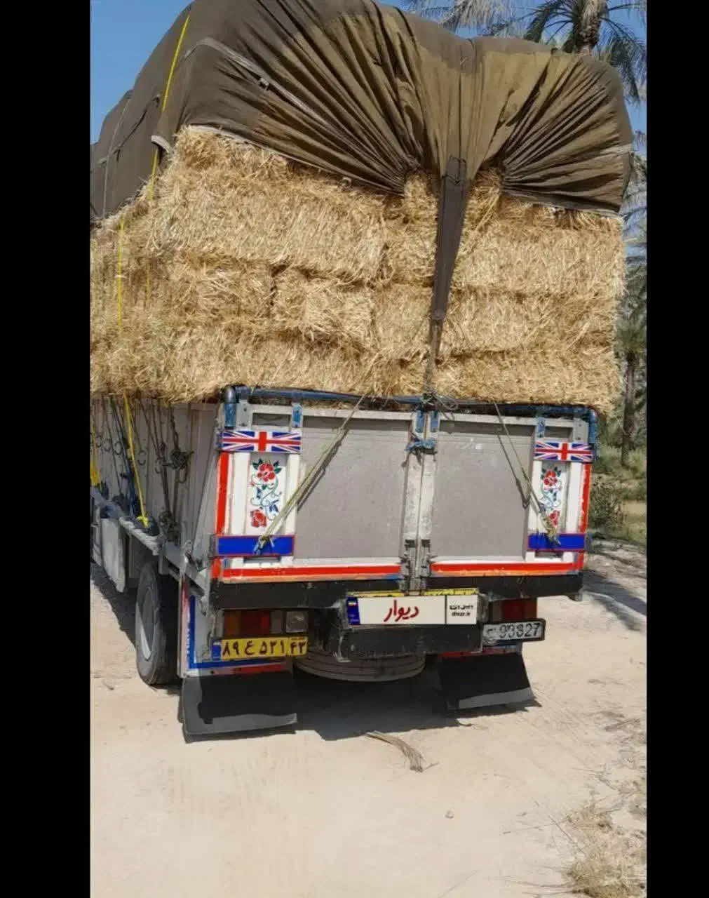 خریدارکاه گندم بسته بندی و خوردشده|حیوانات مزرعه|شیراز, احمدی جنوبی|دیوار