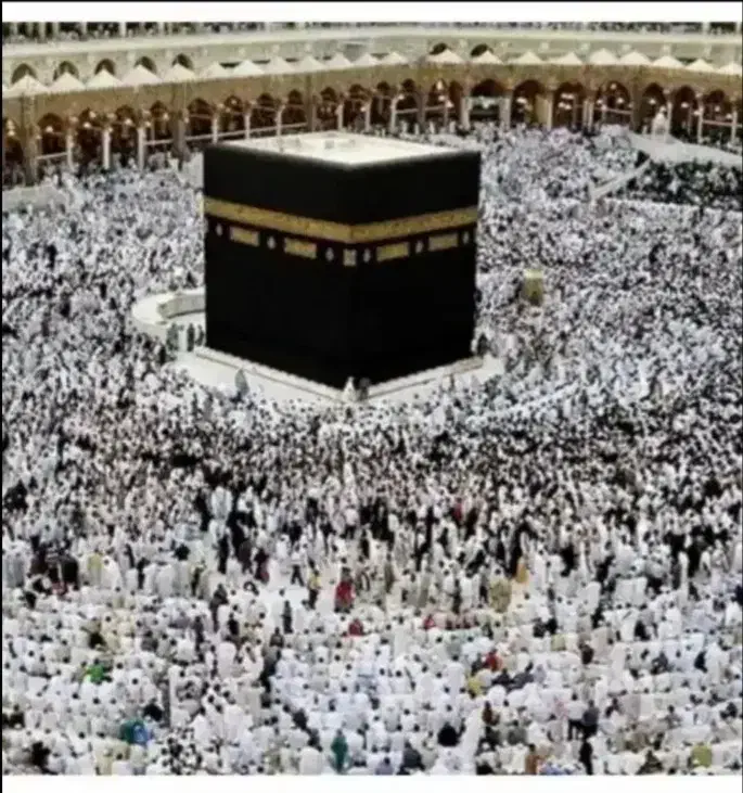 فروش فیش حج تمتع|تور و چارتر|اردبیل, |دیوار