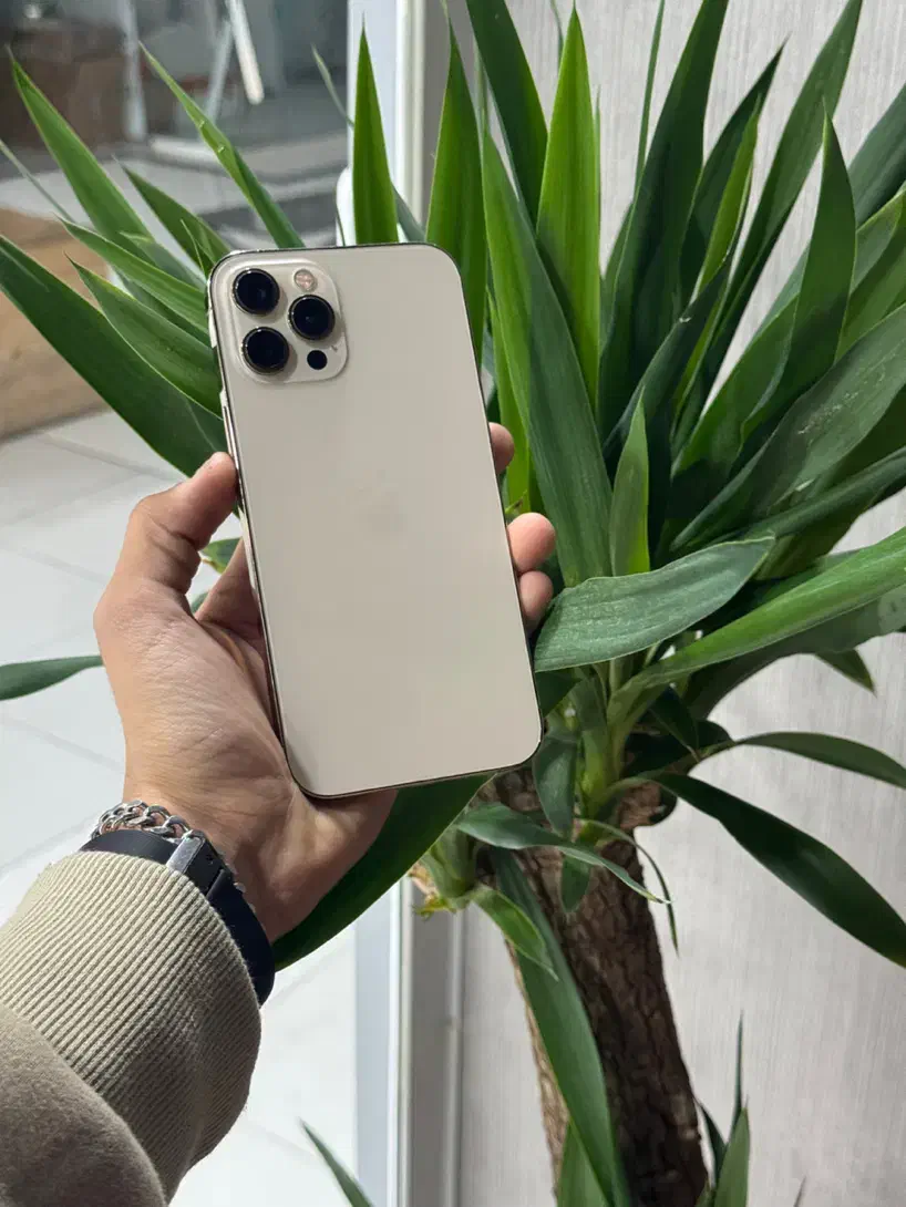 IP 12pro max 256gig نقد و اقساط|موبایل|کرج, گلشهر|دیوار