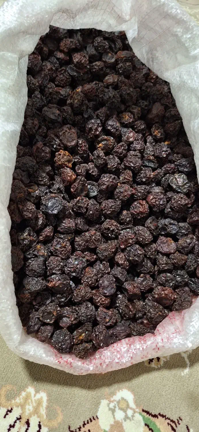 آلو خشک|خوردنی و آشامیدنی|فولادشهر, B5|دیوار