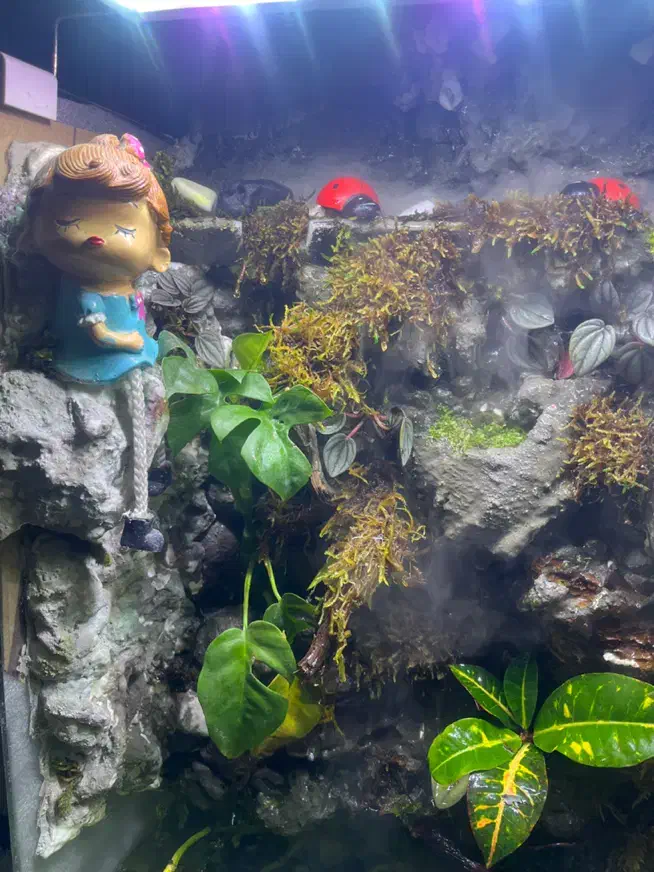 آکواریوم|ماهی|تهران, آهنگ|دیوار