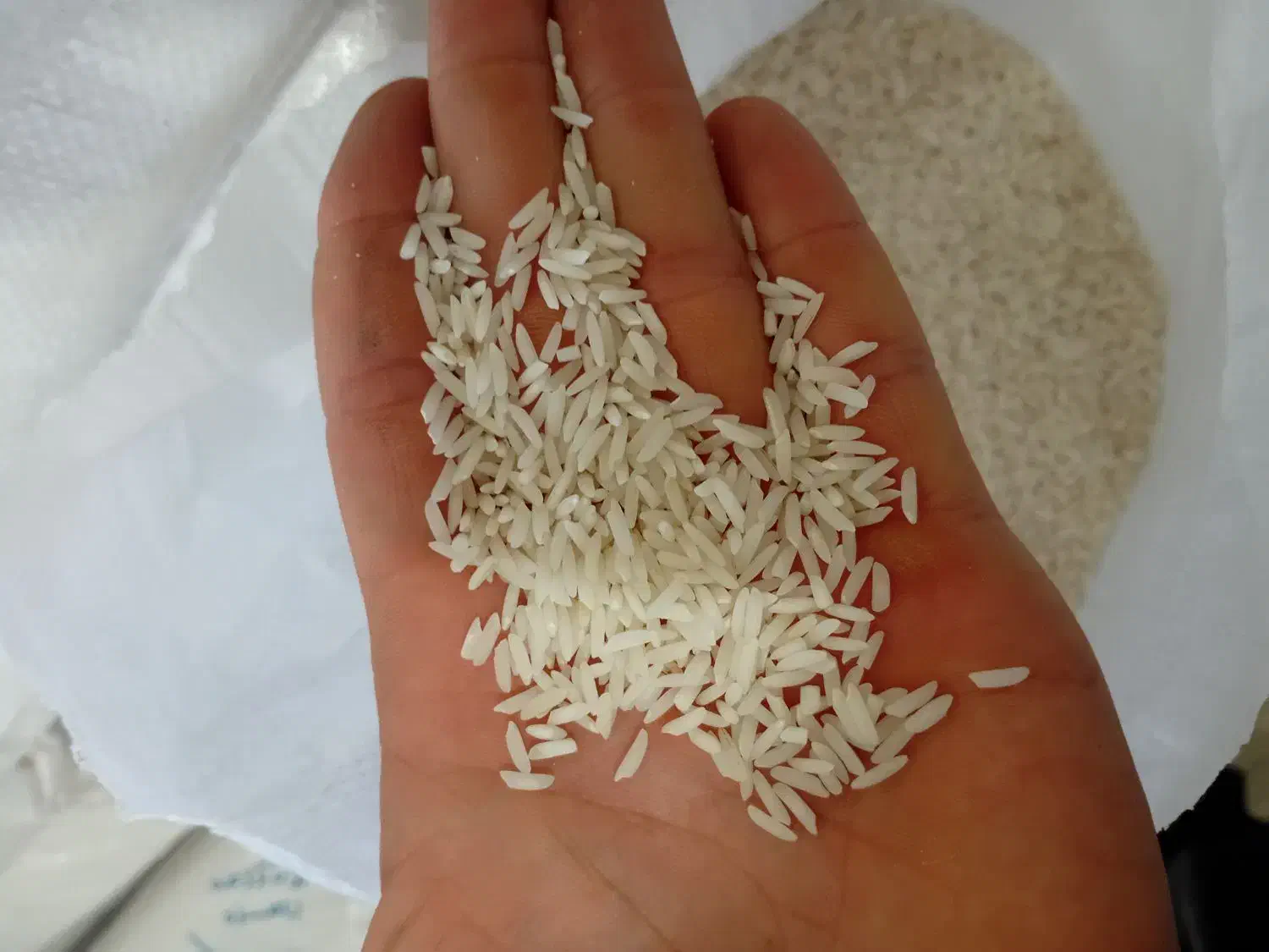 برنج هاشمی گیلان|خوردنی و آشامیدنی|صومعهسرا, |دیوار