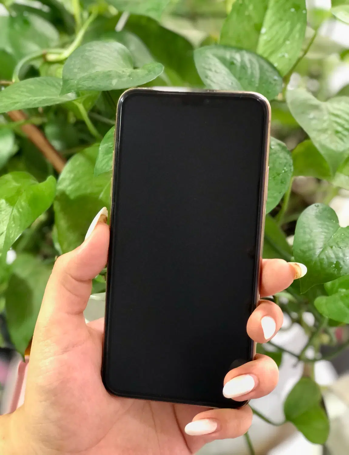 iPhone 11 Pro Max|موبایل|رشت, یخسازی|دیوار