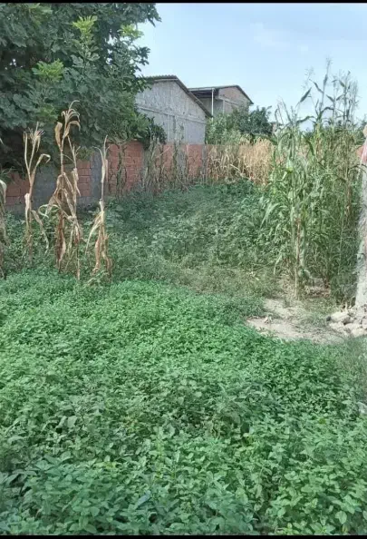 زمین خانه سری|فروش زمین و ملک کلنگی|نوکنده, |دیوار