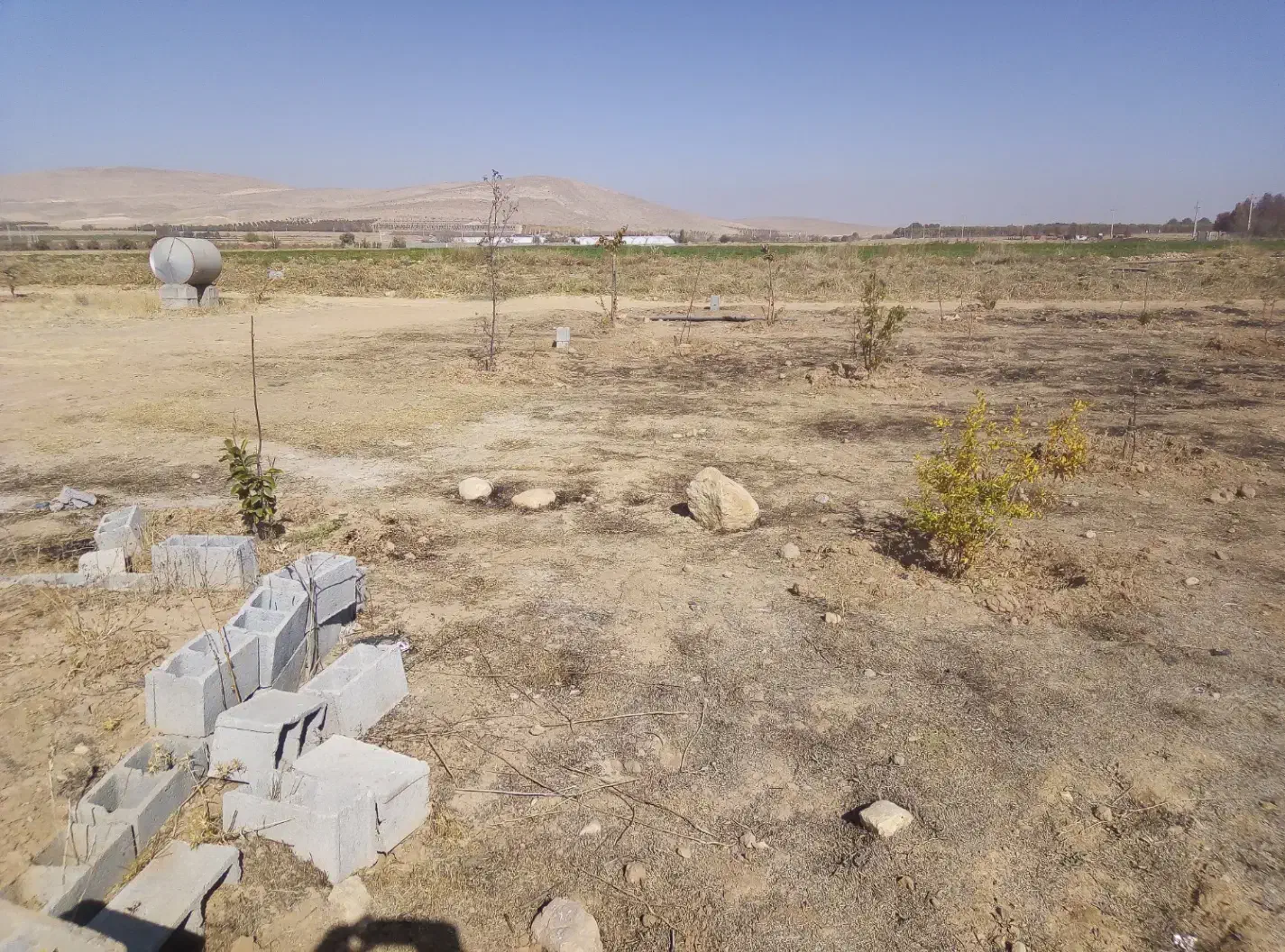 فروش یک قطعه زمین|فروش زمین و ملک کلنگی|بیضا, |دیوار