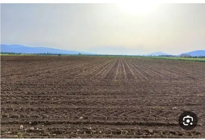 زمین کشاورزی|فروش دفتر صنعتی، کشاورزی، تجاری|شبانکاره, |دیوار