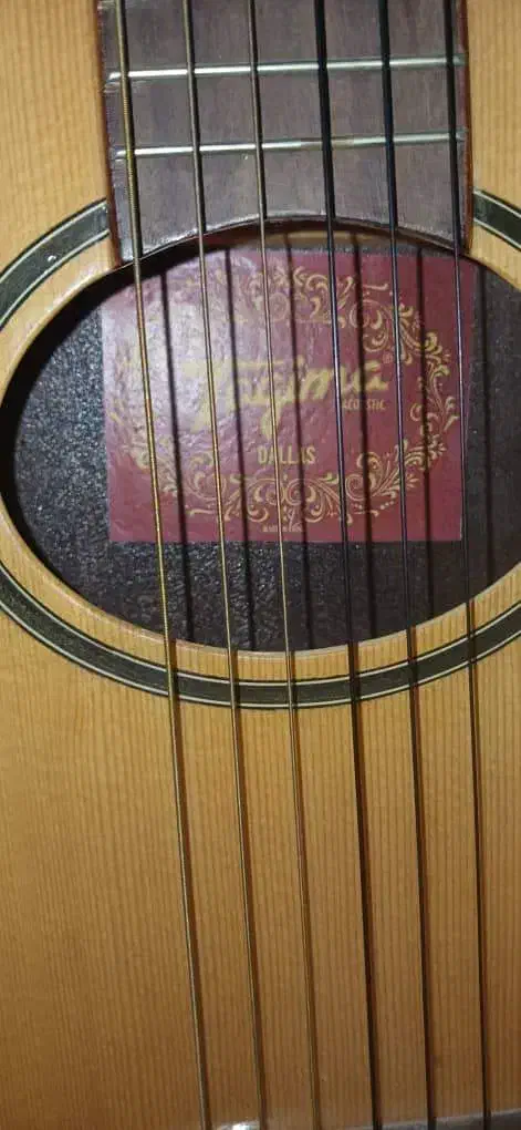 گیتار|گیتار، بیس، امپلیفایر|اردبیل, |دیوار