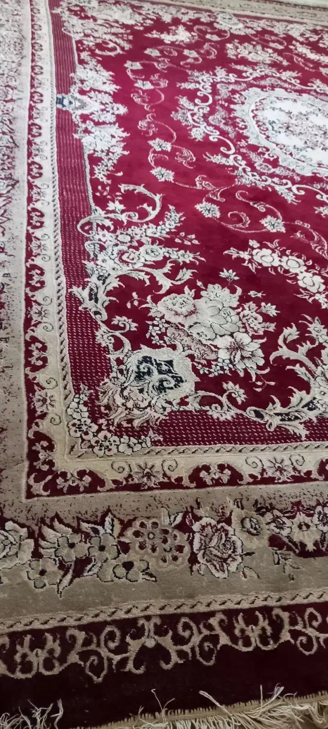 فرش|فرش|آمل, |دیوار