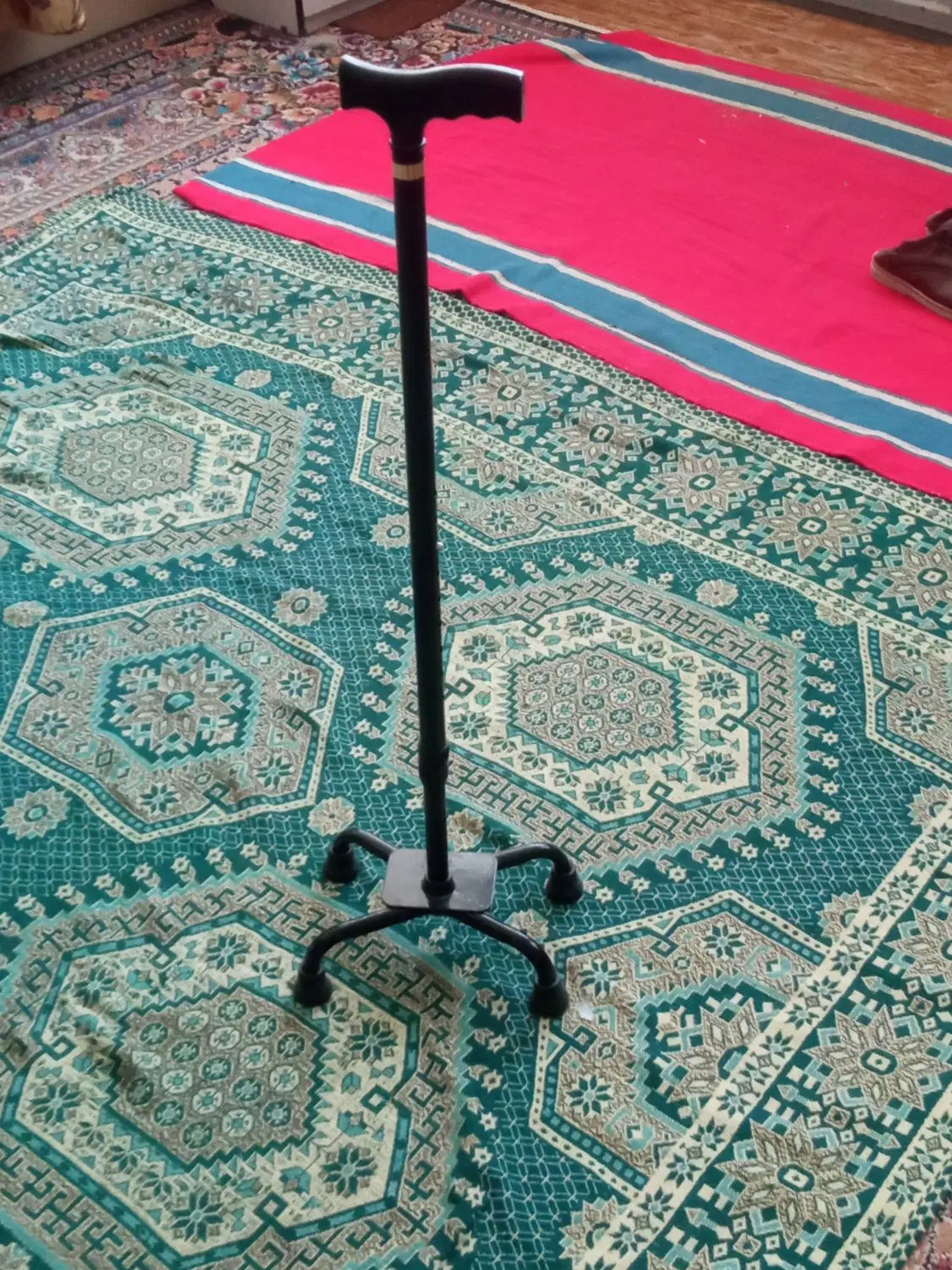 اعصا|پزشکی|زابل, |دیوار