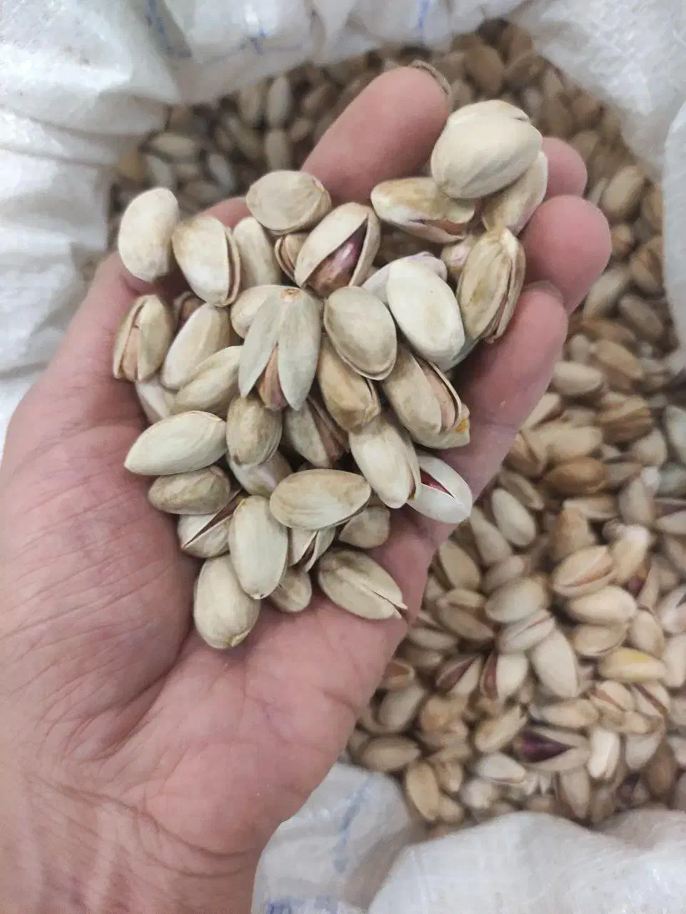 فروش ویژه پسته خشک خندان|خوردنی و آشامیدنی|تهران, راه آهن|دیوار