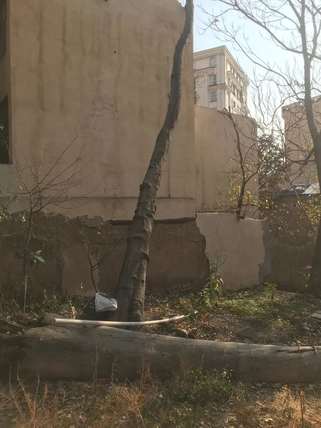 چوب|مصالح و تجهیزات ساختمان|تهران,  امام زاده قاسم (نیاوران)|دیوار