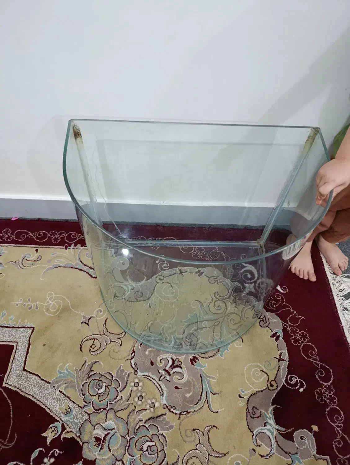 آکواریوم|ماهی|اهواز, پادادشهر|دیوار