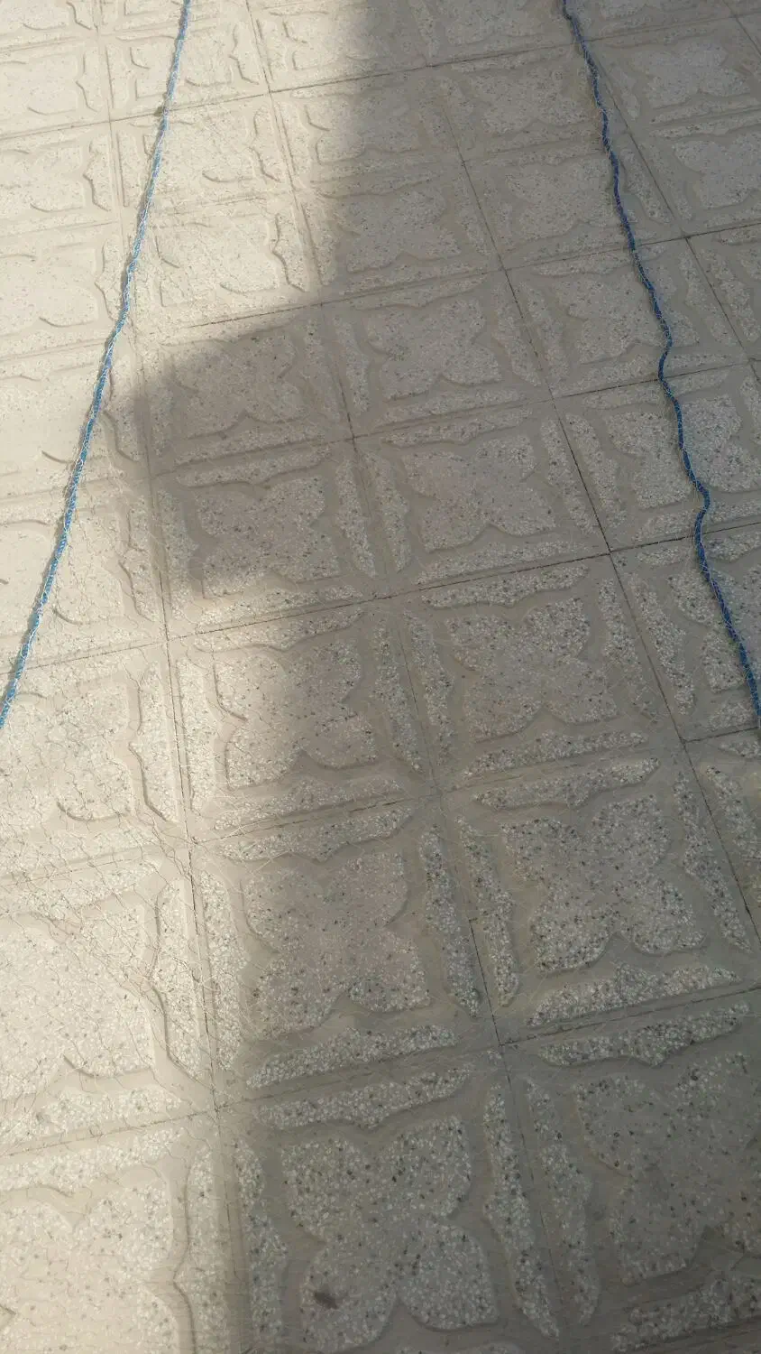 تور|ماهیگیری|کازرون, |دیوار