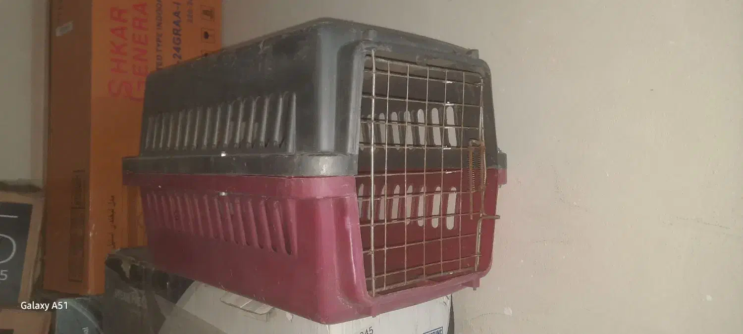 باکس حیوانات|لوازم جانبی حیوانات|پردیس, فاز ۲|دیوار