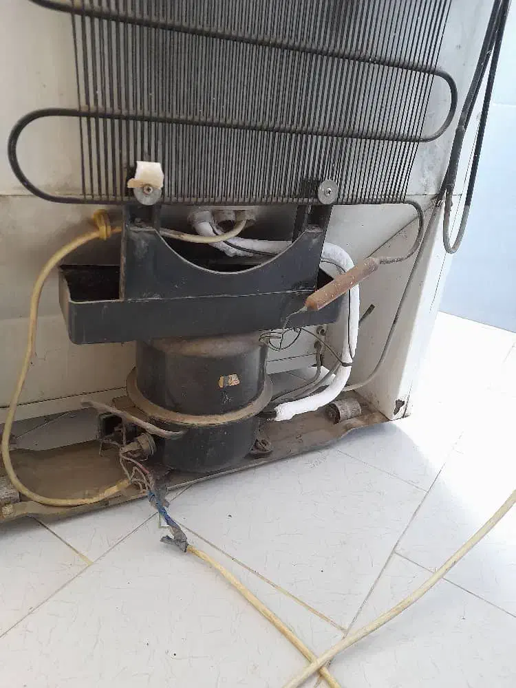 تعمیرات یخچال های خانگی و ویترینی در محل|خدمات پیشه و مهارت|اشتهارد, |دیوار