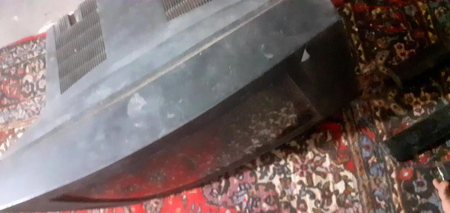 تلویزیون|تلویزیون و پروژکتور|زاهدان, |دیوار