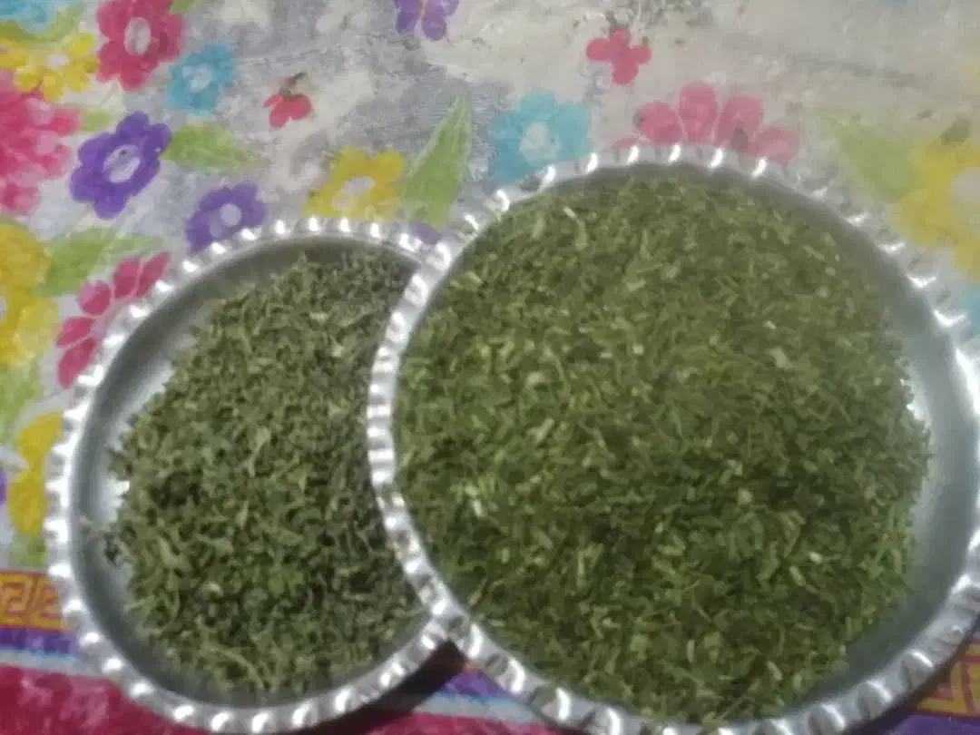 سیر کوهی و ترشی|خوردنی و آشامیدنی|یاسوج, |دیوار