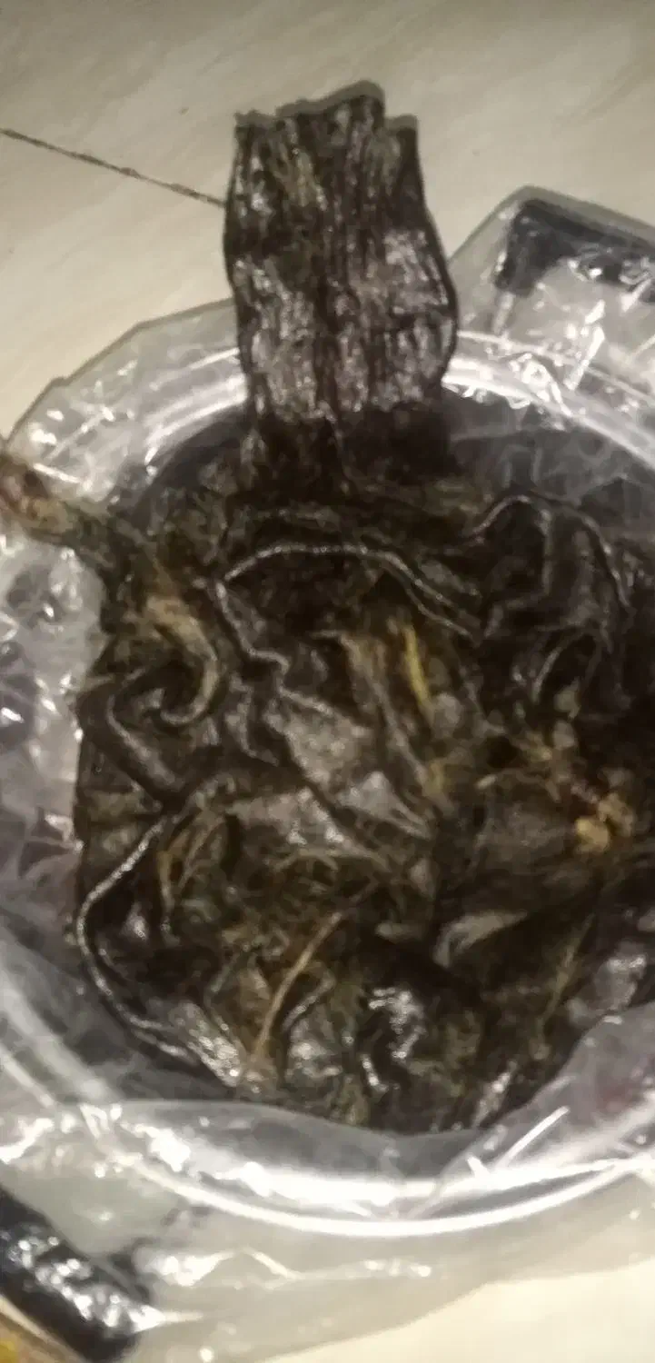 هیزه 5 کیلویی|ظروف نگهدارنده، پلاستیکی، یکبارمصرف|کرمانشاه, |دیوار