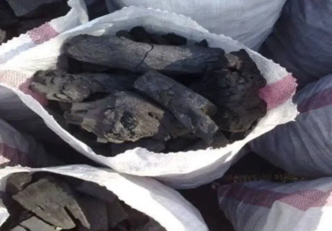 فروش زغال بادام عمده و خرده|عمدهفروشی|نجفآباد, جلال آباد|دیوار