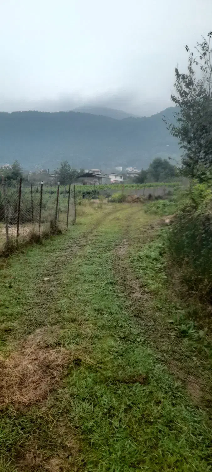 باغی ۴۲۰ متری چسبیده به طرح اوشیان|فروش زمین و ملک کلنگی|چابکسر, |دیوار